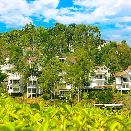Dazzle Villa Resort Kalpetta Eksteriør billede